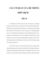 CÁC CƠ QUAN CỦA HỆ THỐNG MIỄN DỊCH (Kỳ 4) pdf