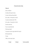 Cấp lại giấy phép lao động ppsx