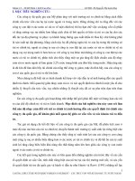 Tiểu luận tài chính quốc tế: CẤU TRÚC VỐN VỚI RỦI RO ĐẦU TƯ NƯỚC NGOÀI