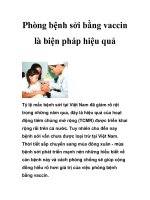 Phòng bệnh sởi bằng vaccin là biện pháp hiệu quả pot