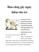Hoa cũng gây nguy hiểm cho trẻ ppt