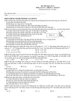 Đề mẫu Lý_11 HK II số 4