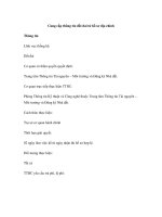 Cung cấp thông tin đất đai từ hồ sơ địa chính docx