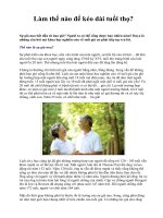 Làm thế nào để kéo dài tuổi thọ? ppt