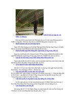 Tin tức trong ngày