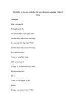 Xin ý kiến dự án công trình cầu vĩnh cửu, cầu tạm trong phạm vi bảo vệ luồng pdf