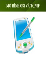 module 2 - mô hình osi và tcp ip