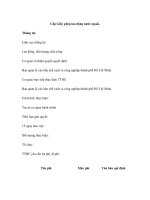 Cấp Giấy phép lao động nước ngoài. docx