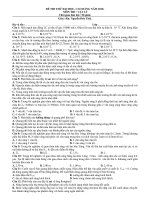 thi thu dhcd 2010_ quang_luongtu_hatnhan_cuc hay