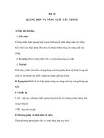 Giáo án Sinh 11 (NC) - QUANG HỢP VÀ NĂNG SUẤT CÂY TRỒNG pptx