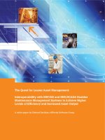 The quest for leaner asset management via interoperability