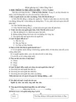 DE THI MÔN TIENG VIET GIUA K2 2010