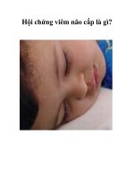 Hội chứng viêm não cấp là gì? pptx