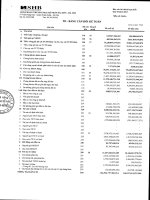 ngân hàng thương mại cổ phần sài gòn hà nội shb báo cáo tài chính hợp nhất quý 2 năm 2013 td bảng cân đối kế toán