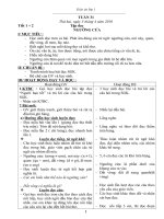 Lớp 1TUÀN 31(CKTKN)