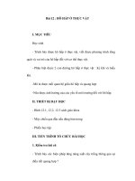 Sinh học 11 - Bài 12 : HÔ HẤP Ở THỰC VẬT potx