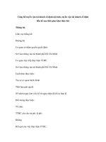 Công bố tuyến vận tải khách cố định nội tỉnh, tuyến vận tải khách cố định liền kề sau thời gian khai thác thử docx