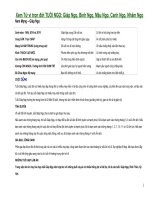 Tử vi trọn đời tuổi Ngọ: Giáp Ngọ, Bính Ngọ, Mậu Ngọ, Canh Ngọ, Nhâm Ngọ