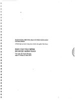 báo cáo tài chính đã kiểm toán năm 2010 ngân hàng xăng dầu petrolimex pg bank