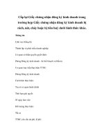 Cấp lại Giấy chứng nhận đăng ký kinh doanh trong trường hợp Giấy chứng nhận đăng ký kinh doanh bị rách, nát, cháy hoặc bị tiêu huỷ dưới hình thức khác pptx