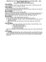 De khao sat HSG lop 5 mon: Tieng viet