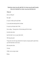 Thành lập trường trung cấp nghề (đối với trường trung cấp nghề công lập thuộc tỉnh, thành phố trực thuộc trung ương thành lập mới) docx