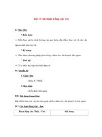 Giáo án Công nghệ lớp 9 - Kĩ thuật trồng cây vải ppsx