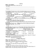 Văn 6- Đề kiểm tra tiếng việt