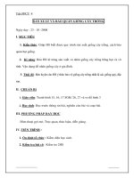 Giáo án công nghệ lớp 7 - 8 SẢN XUẤT VÀ BẢO QUẢN GIỐNG CÂY TRỒNG pptx