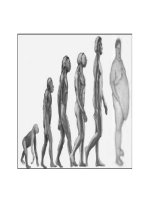 rối loạn chuyển thể lipid