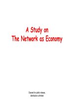 A Study on The Network as Economy doc
