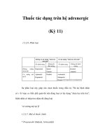 Thuốc tác dụng trên hệ adrenergic (Kỳ 11) pot