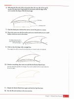 Adobe Flash CS3: The Professional Portfolio- P9 doc