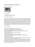 Quy trình sản xuất giống cá lăng vàng pptx