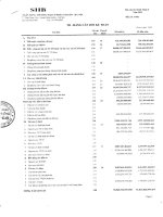 ngân hàng thương mại cổ phần sài gòn hà nội shb báo cáo tài chính riêng lẻ năm 2011 td bảng cân đối kế toán
