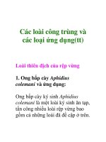 Các loài công trùng và các loại ứng dụng(tt) docx