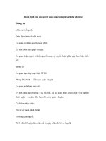 Thẩm định báo cáo quyết toán của cấp ngân sách địa phương pdf