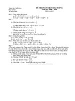 de thi phat hien HSG lop 8 nam 2010