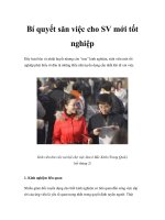 Bí quyết săn việc cho SV mới tốt nghiệp pot
