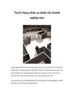 Tuyển dụng nhân sự dành cho doanh nghiệp nhỏ pptx