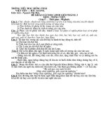 De thi HSG lop 5 mon tieng viet