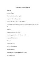 Chia Công ty TNHH 1 thành viên pps