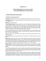 Sổ tay bệnh động vật - Chương 10 pps