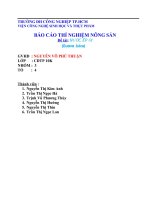 BÁO CÁO THÍ NGHIỆM NÔNG SẢN ĐỀ TÀI: NƯỚC ÉP ỔI doc