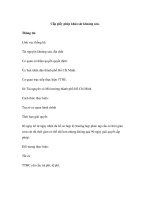 Cấp giấy phép khảo sát khoáng sản ppsx