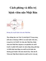 Cách phòng và điều trị bệnh viêm não Nhật Bản pptx