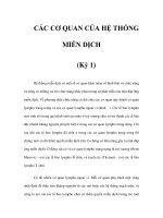 CÁC CƠ QUAN CỦA HỆ THỐNG MIỄN DỊCH (Kỳ 1) pptx