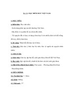 Giáo án địa lý lớp 8 - ĐẶC ĐIỂM ĐẤT VIỆT NAM doc