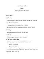 Sinh học 6 - Bài 13: CẤU TẠO NGOÀI CỦA THÂN docx