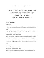 Giáo án Sinh 11 (NC) - SINH HỌC CÁ THỂ - CHƯƠNG I: CHUYỂN HÓA VẬT CHẤT VÀ NĂNG LƯỢNG pdf